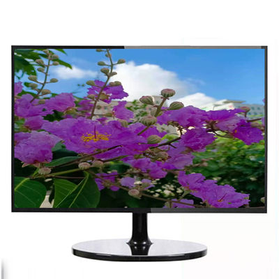 19 Inch Vesa Mount LED Bilgisayar Monitörleri USB HDMI AV DVI VGA Arayüzü