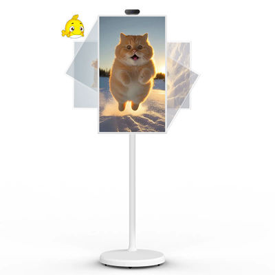 Kalite  21" Android 12 System Stand By Me TV Smart Broadcast Machine Touch Screen Fabrika
